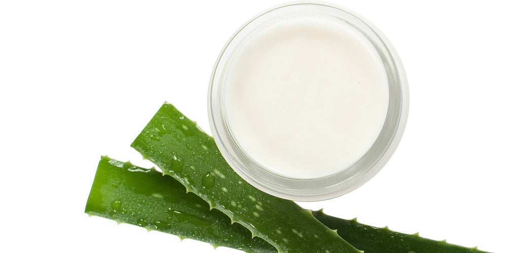 aloe vera plant with ointment