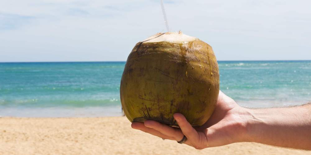 Coconut