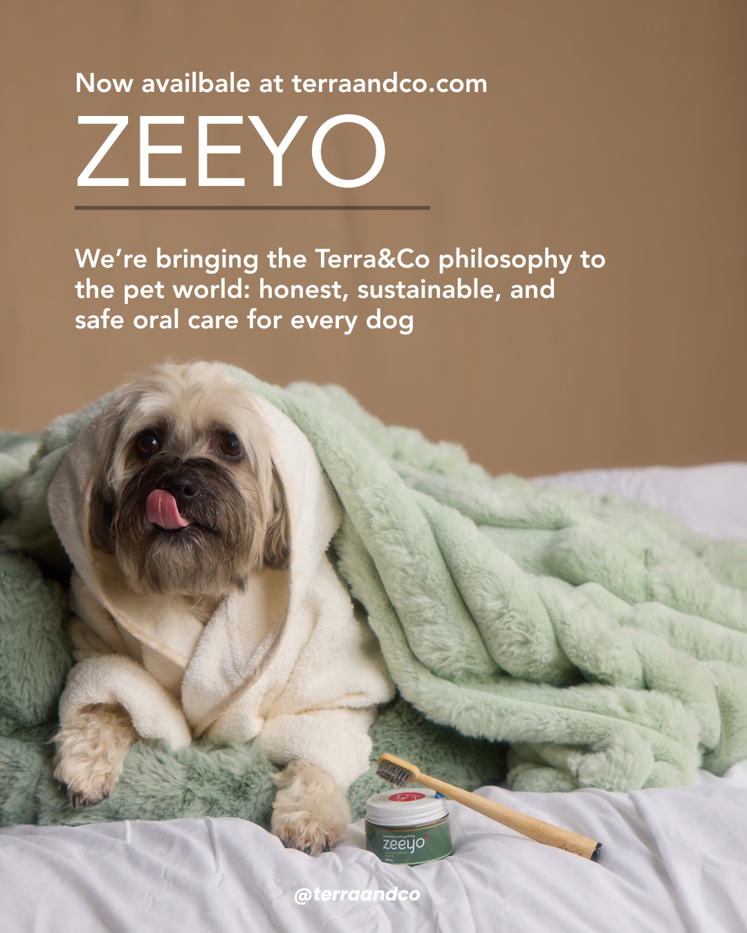 Zeeyo Gut-Safe Dog Toothpaste Box – Hydroxyapatite Canine Oral