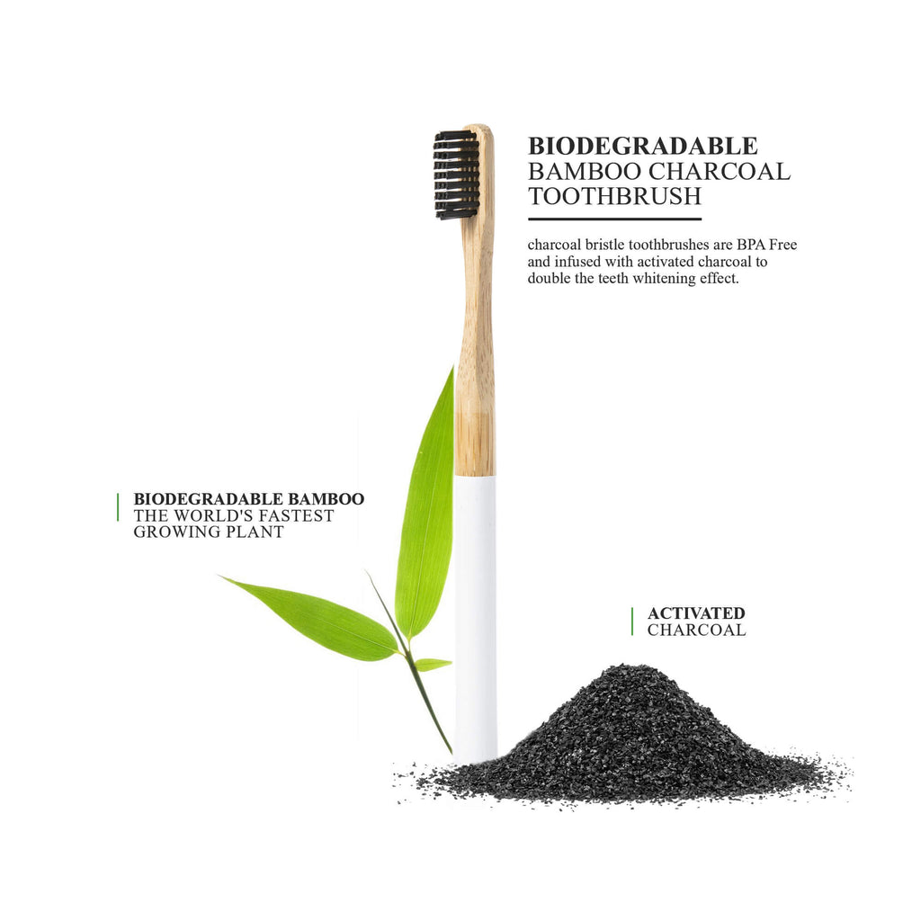 Close-up of Terra & Co. toothbrush showing biodegradable bamboo handle and activated charcoal BPA-free bristles, ideal for clean, non-toxic oral care
